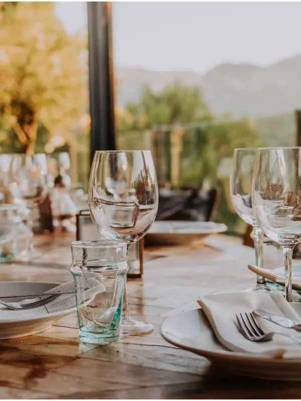 Premium Party Helper